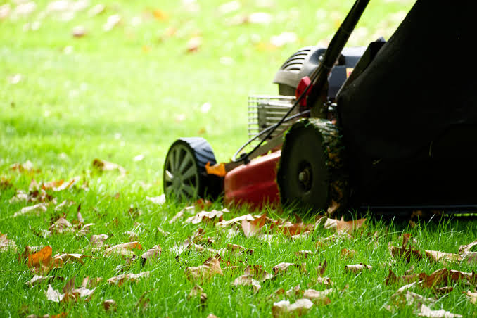 Freshly mowed green lawn by GX Gardening Services in Ballarat